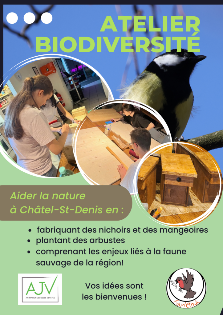 1 Animation Jeunesse de la Veveyse