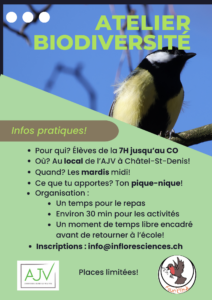 2 Animation Jeunesse de la Veveyse