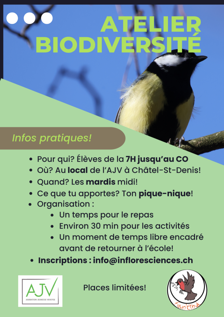 2 Animation Jeunesse de la Veveyse